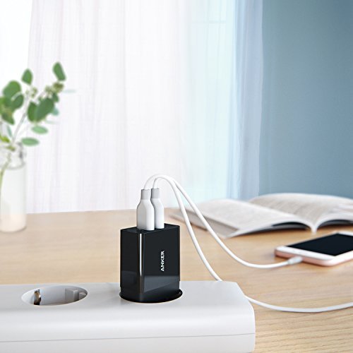 Anker 24W 2-Port USB Ladegerät mit PowerIQ Technologie