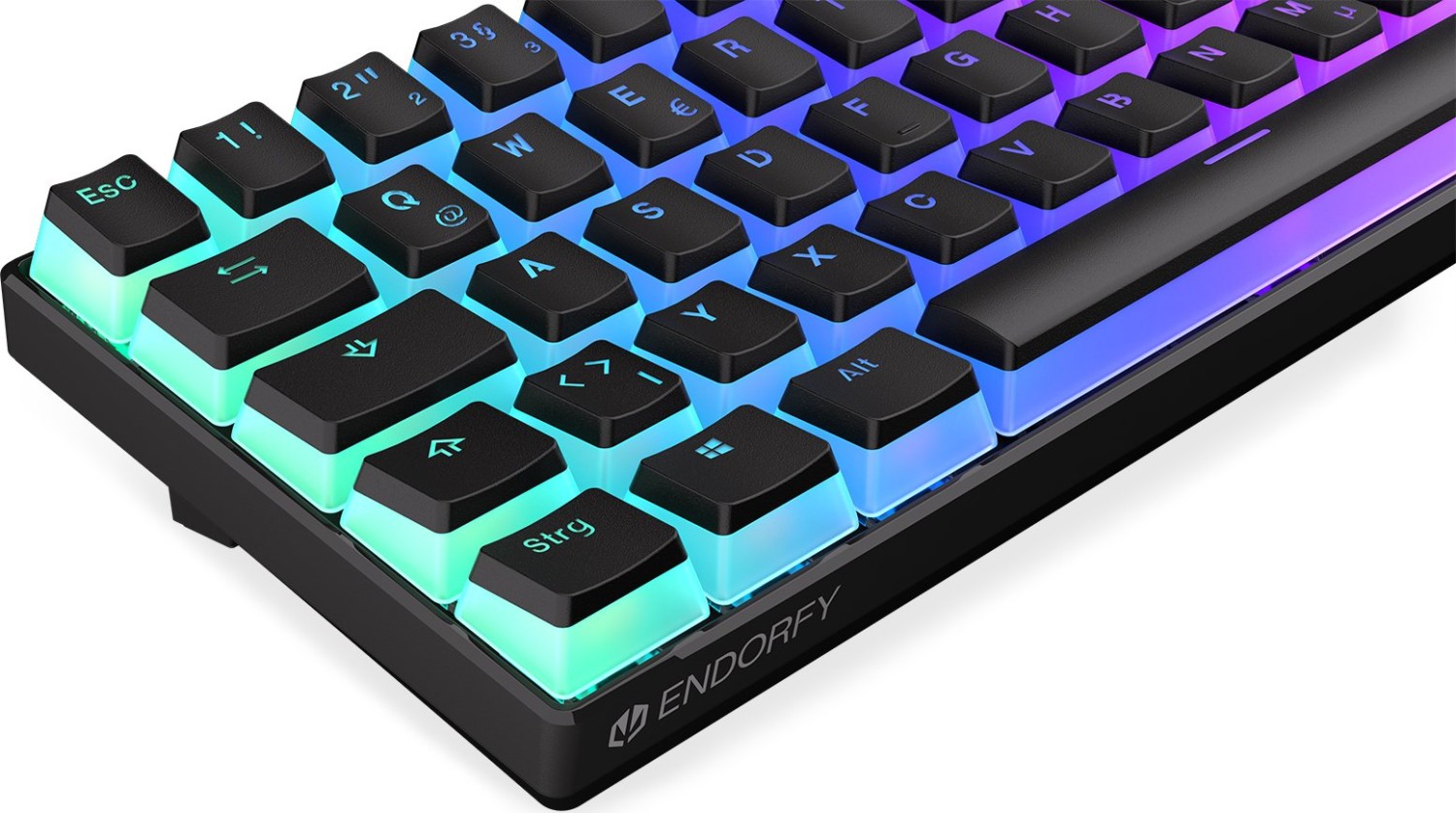 ENDORFY Thock Compact Wireless Pudding, PBT, LEDs RGB, hot-swap, Kailh Box BLACK, USB/Bluetooth, DE