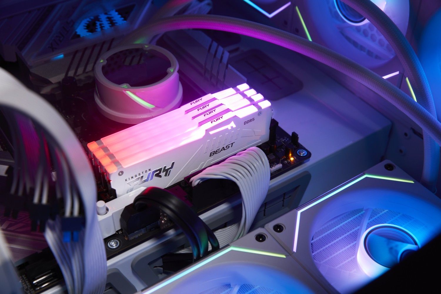 64GB Kingston FURY Beast RGB weiß DIMM Kit, DDR5-5600, XMP/EXPO - KF556C36BWEAK2-64