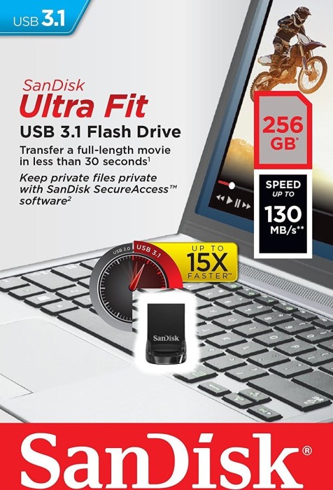 256 GB SanDisk Ultra Fit