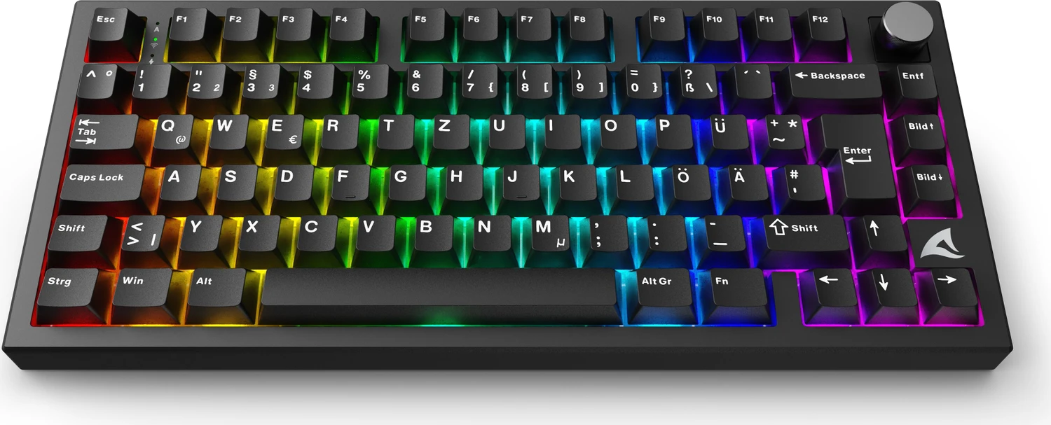 Sharkoon Skiller SGK55W, schwarz, LEDs RGB, hot-swap, Sharkoon Linear, USB, DE