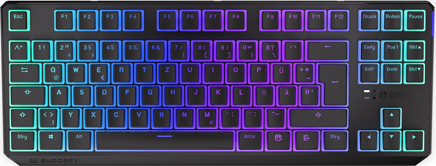 ENDORFY Thock TKL Wireless Pudding, PBT, LEDs RGB, hot-swap, Kailh Box RED, USB/Bluetooth, DE