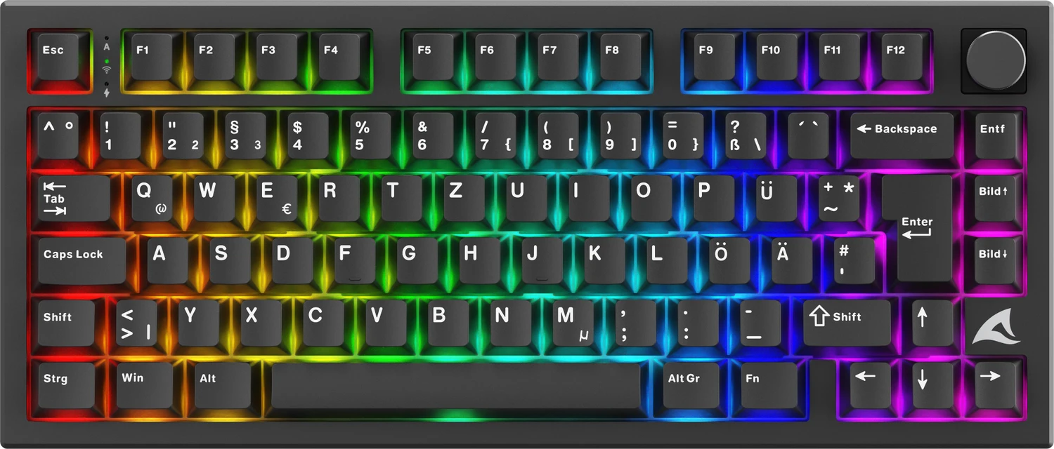 Sharkoon Skiller SGK55W, schwarz, LEDs RGB, hot-swap, Sharkoon Linear, USB, DE