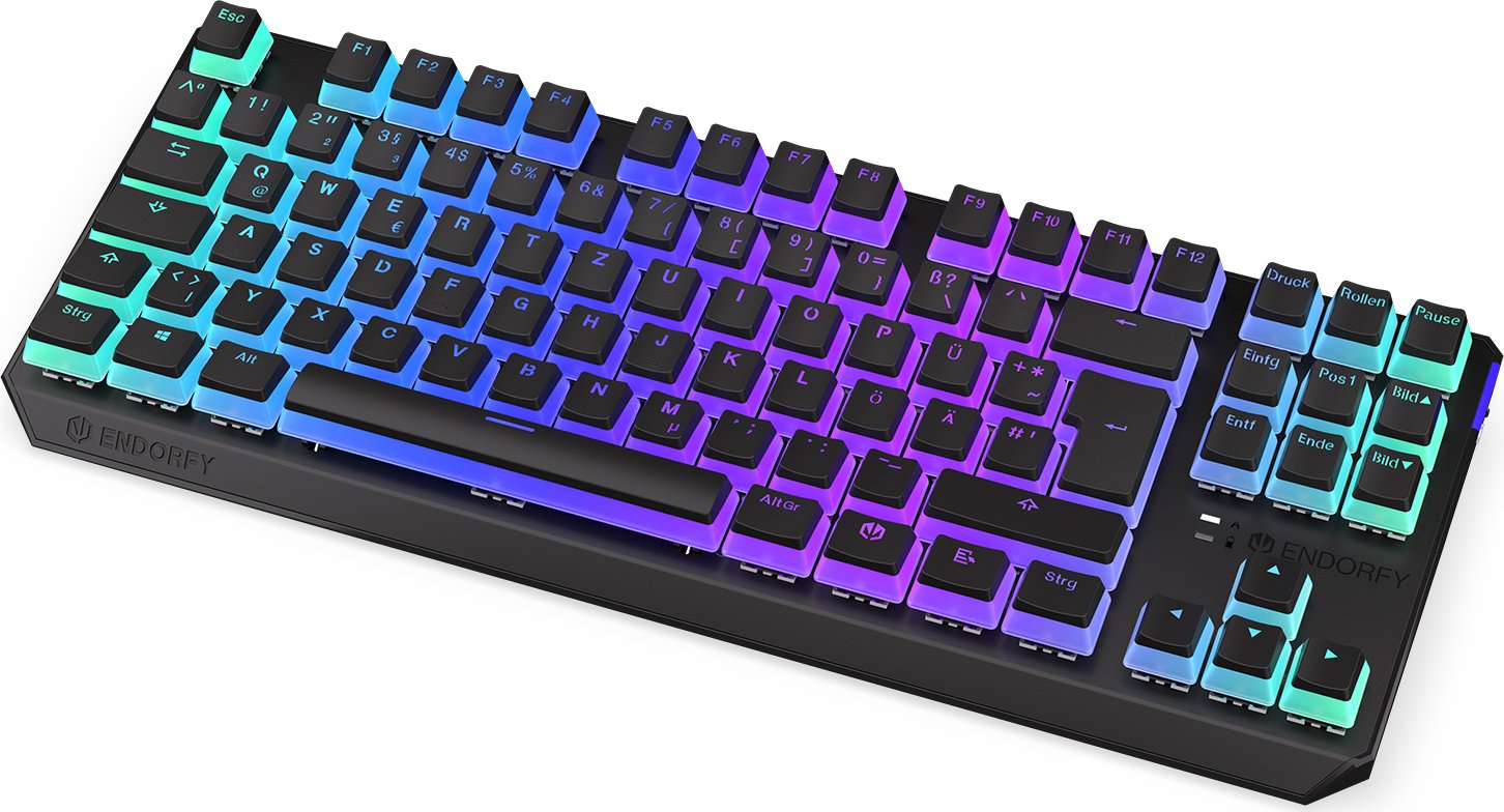 ENDORFY Thock TKL Wireless Pudding, PBT, LEDs RGB, hot-swap, Kailh Box RED, USB/Bluetooth, DE