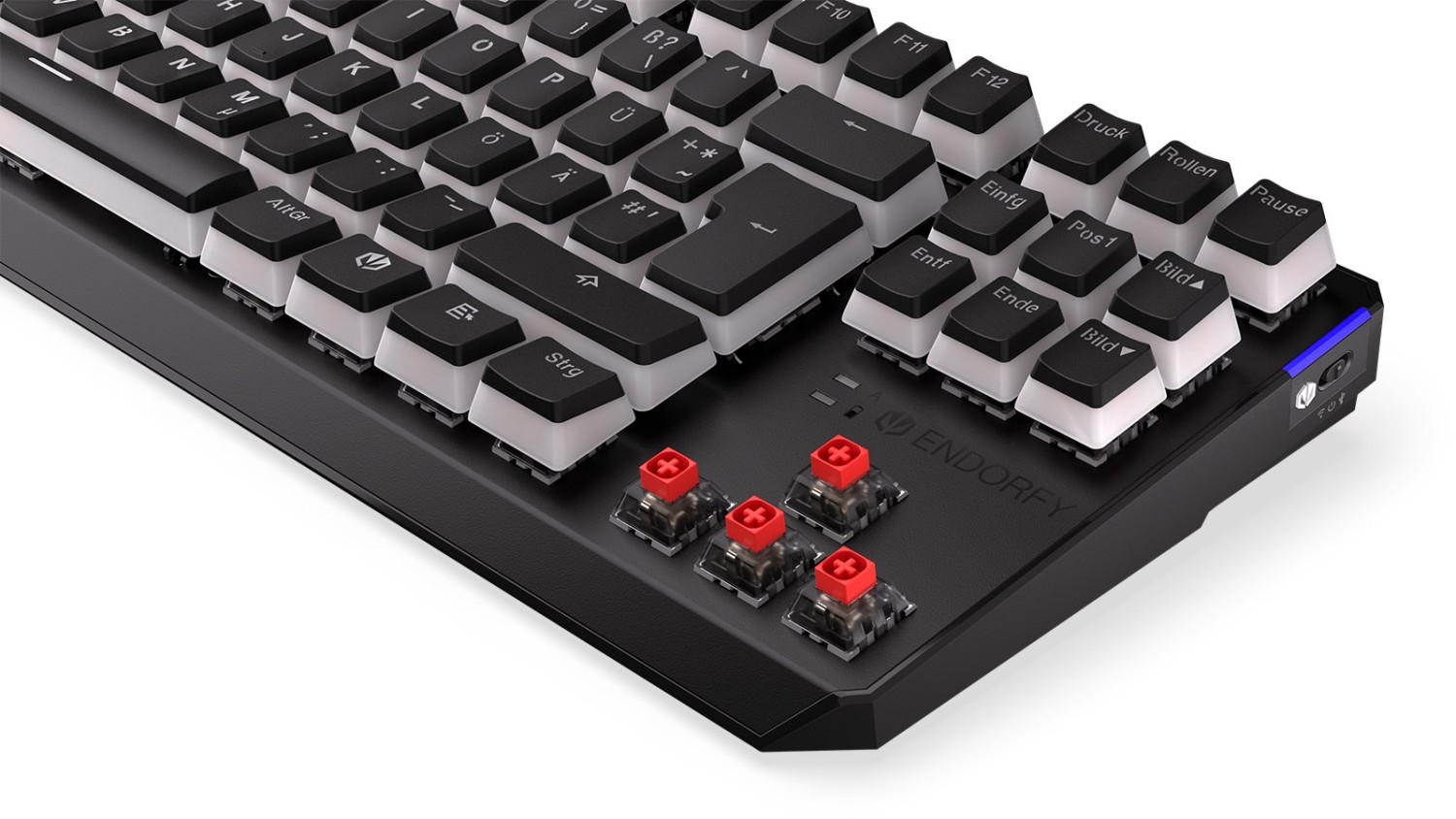 ENDORFY Thock TKL Wireless Pudding, PBT, LEDs RGB, hot-swap, Kailh Box RED, USB/Bluetooth, DE
